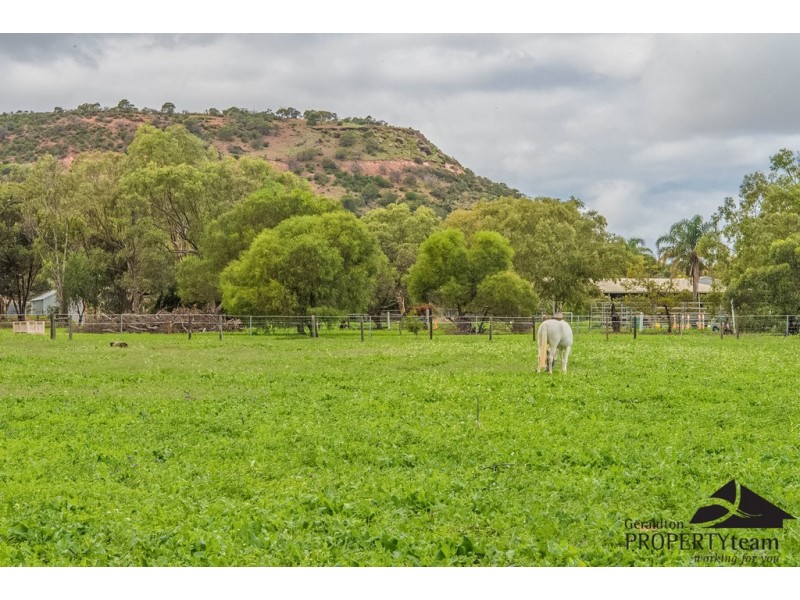 100 Arnold Road, Waggrakine WA 6530