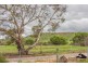 100 Arnold Road, Waggrakine WA 6530