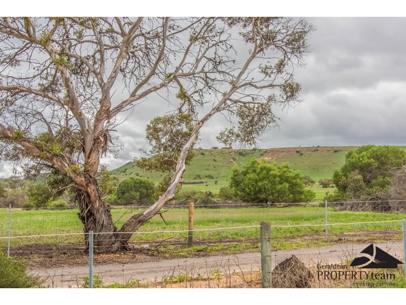 100 Arnold Road, Waggrakine WA 6530