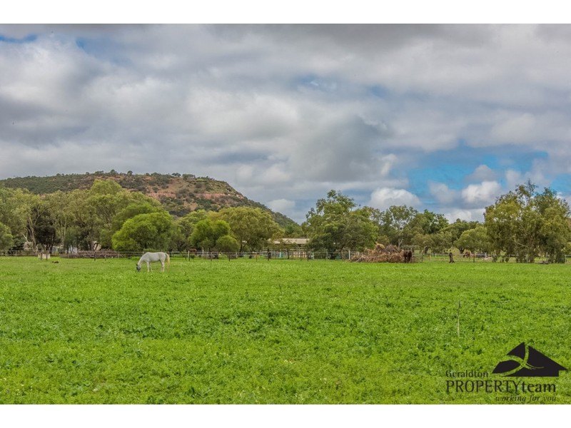 100 Arnold Road, Waggrakine WA 6530