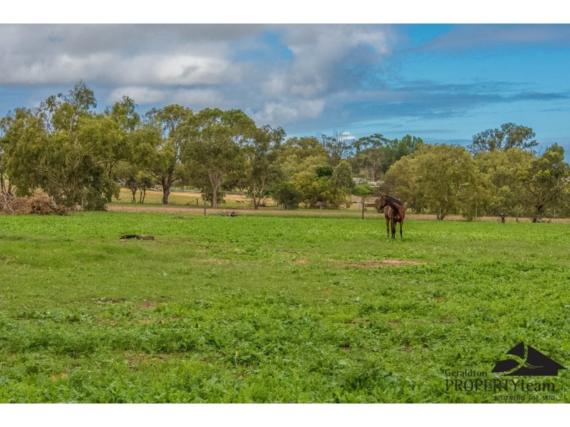 100 Arnold Road, Waggrakine WA 6530