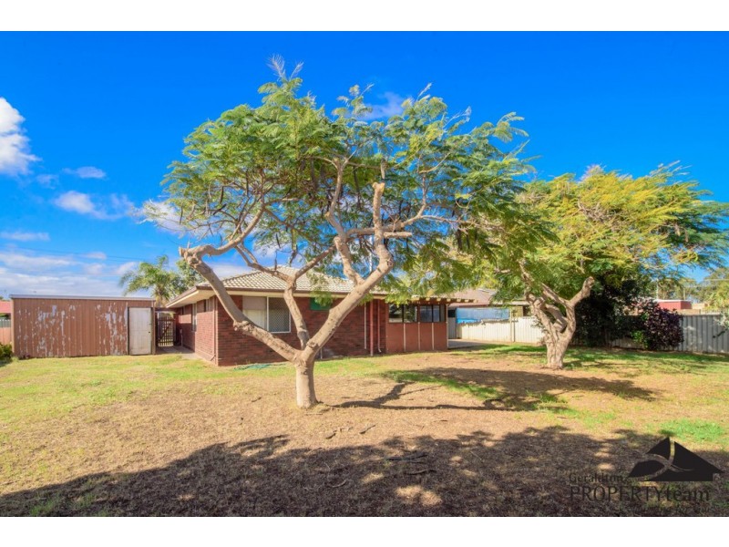 17 Lawley Street, Spalding WA 6530