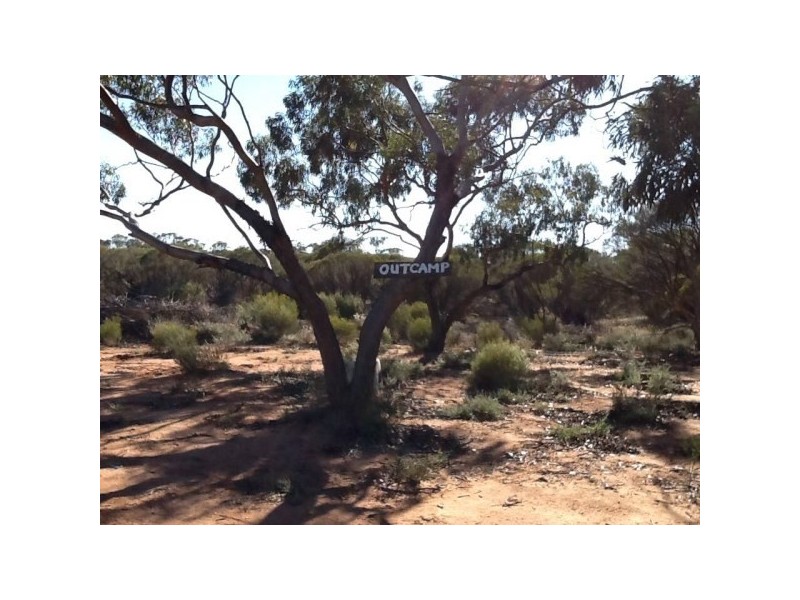 1 Drummond Road, Tardun WA 6628