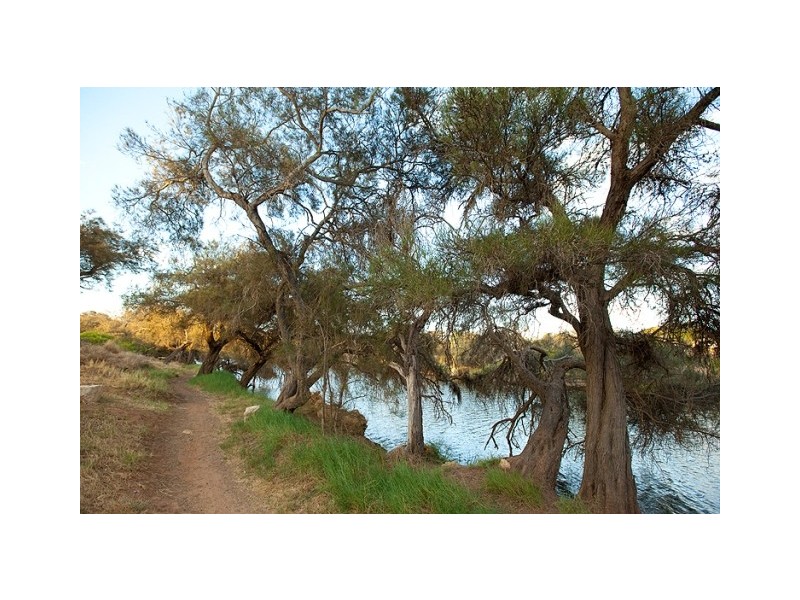 56 Charles Street, Bluff Point WA 6530