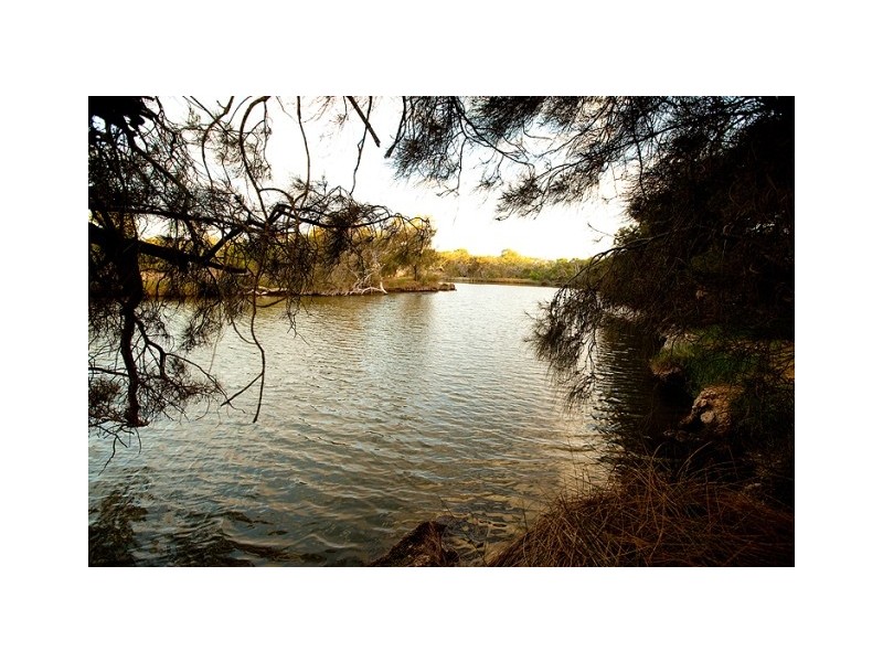 56 Charles Street, Bluff Point WA 6530