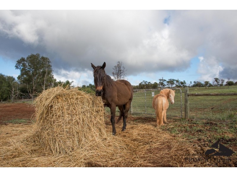 5 Elliott Street, Isseka WA 6535