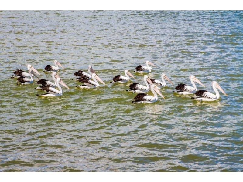 22 Thames Drive, Cape Burney WA 6532