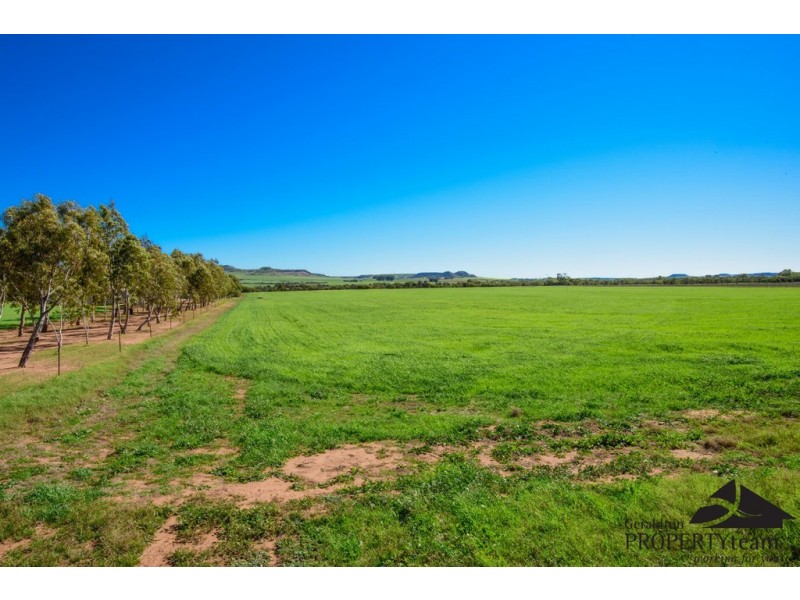 17 Hill River Way, Moonyoonooka WA 6532