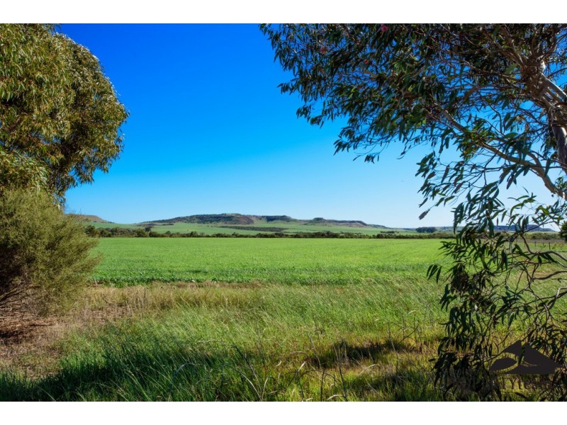 17 Hill River Way, Moonyoonooka WA 6532