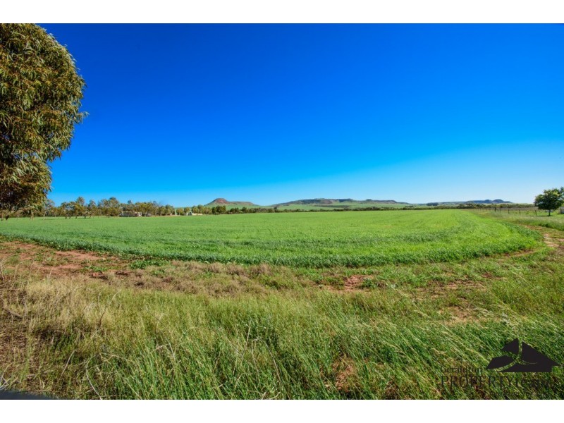 17 Hill River Way, Moonyoonooka WA 6532