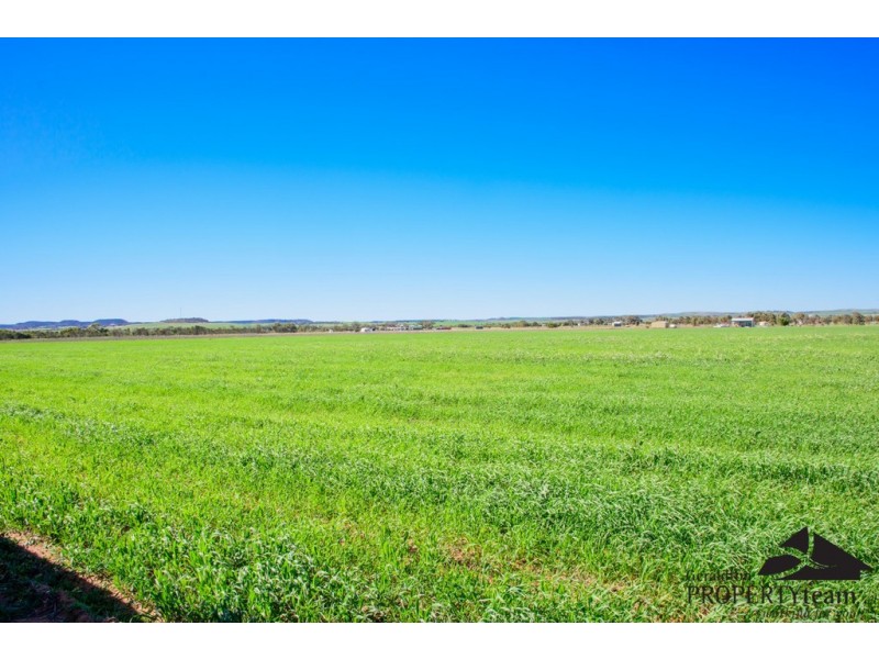 17 Hill River Way, Moonyoonooka WA 6532