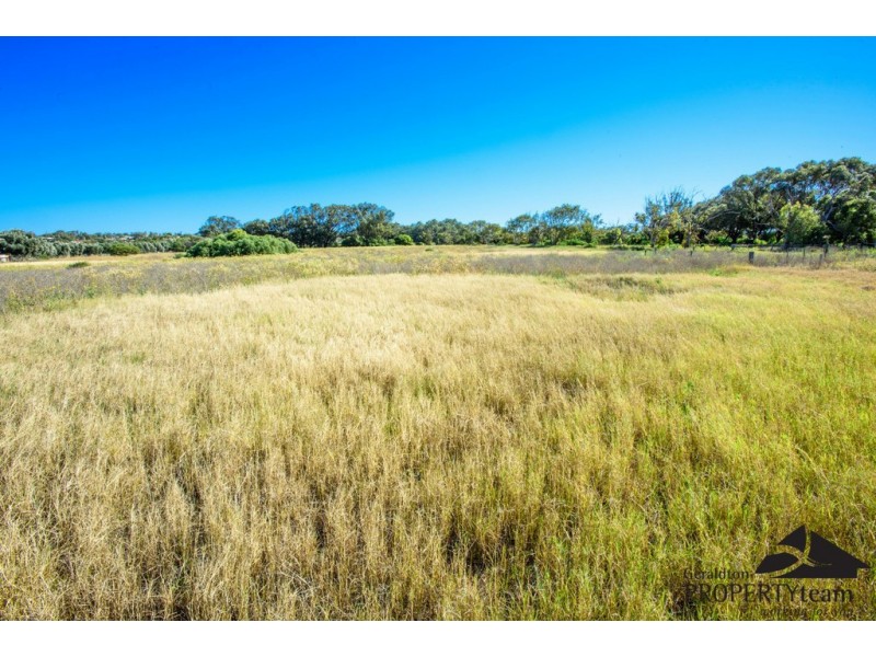 44 Abraham Street, Utakarra WA 6530