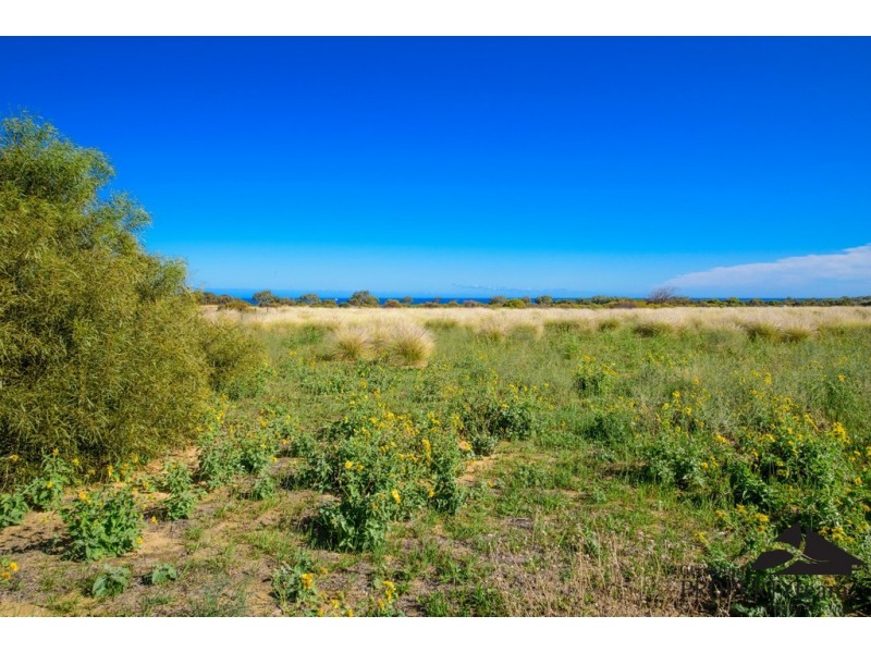 Lot 236 Parmelia Boulevard, White Peak WA 6532