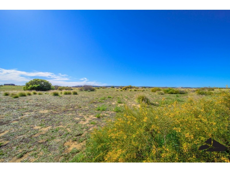 Lot 236 Parmelia Boulevard, White Peak WA 6532