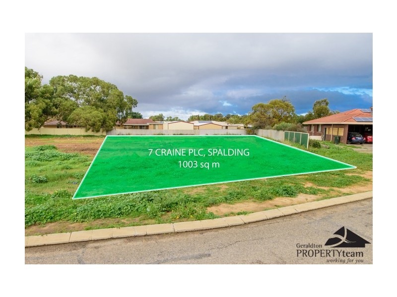 7 Craine Place, Spalding WA 6530