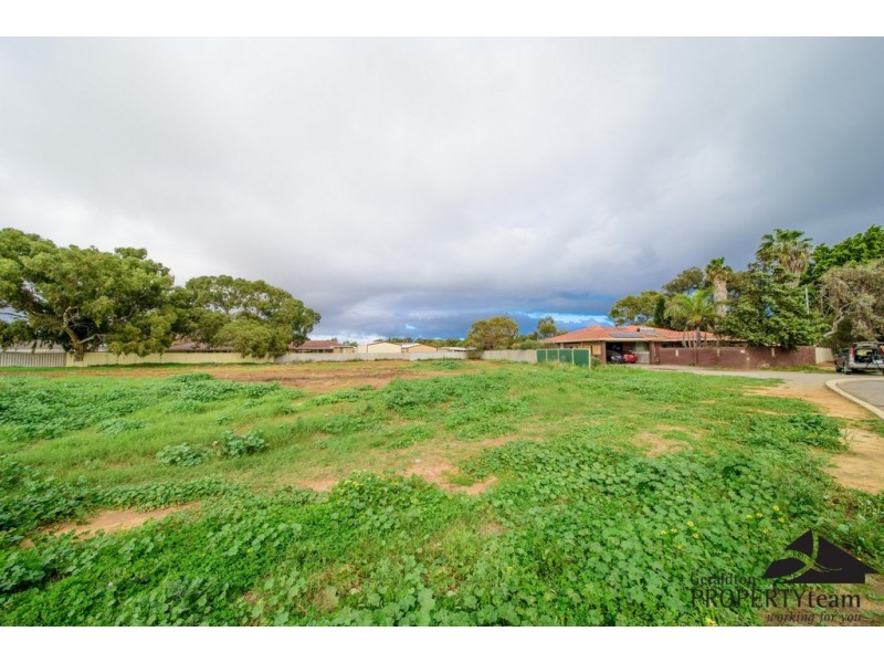 7 Craine Place, Spalding WA 6530