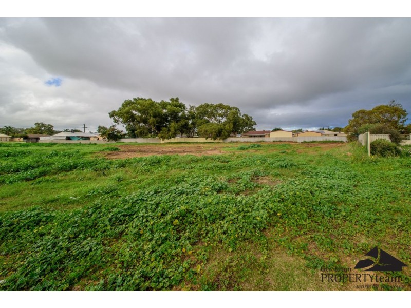 7 Craine Place, Spalding WA 6530