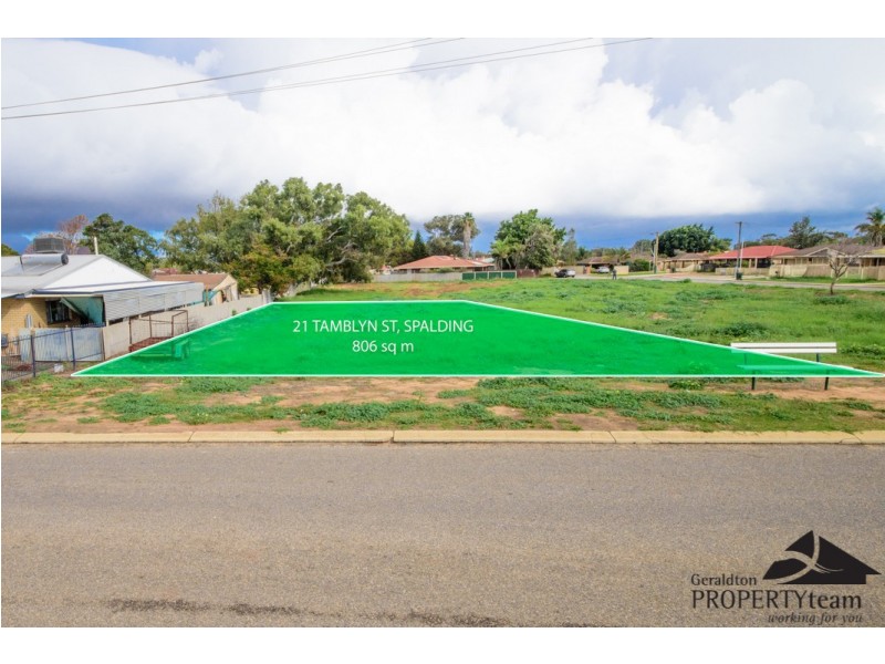 21 Tamblyn Street, Spalding WA 6530