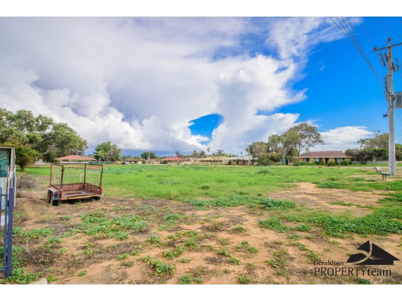 21 Tamblyn Street, Spalding WA 6530