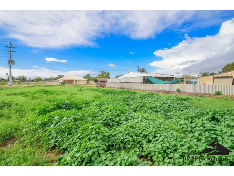 21 Tamblyn Street, Spalding WA 6530