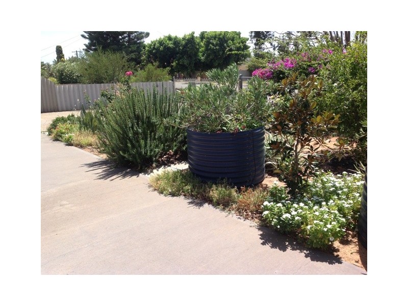 17 Robinson Street, Spalding WA 6530