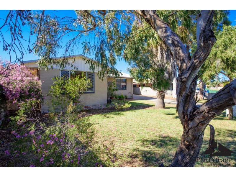 12 Craig Court, Spalding WA 6530