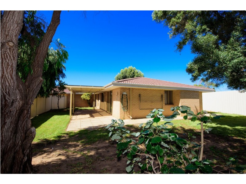 11B Wilton Close, Mount Tarcoola WA 6530