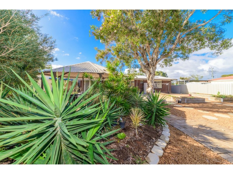 95 Railway Street, Bluff Point WA 6530