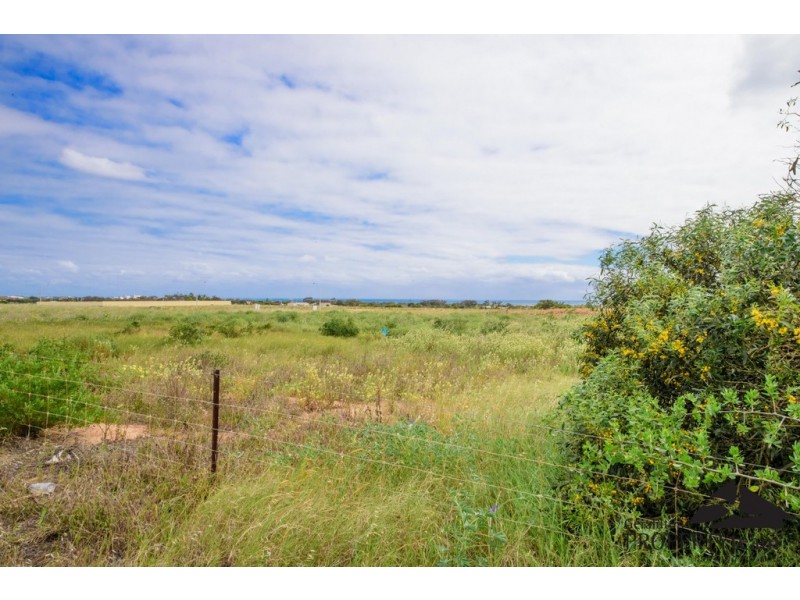 15 Pepper Gate, Waggrakine WA 6530