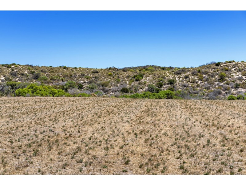 13 African Reef Boulevard, Greenough WA 6532