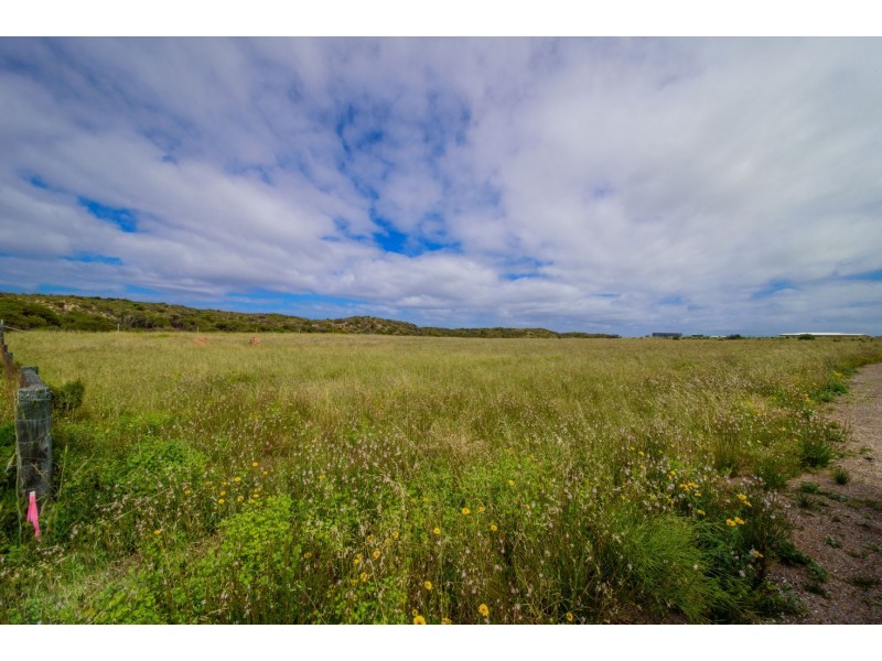 13 African Reef Boulevard, Greenough WA 6532