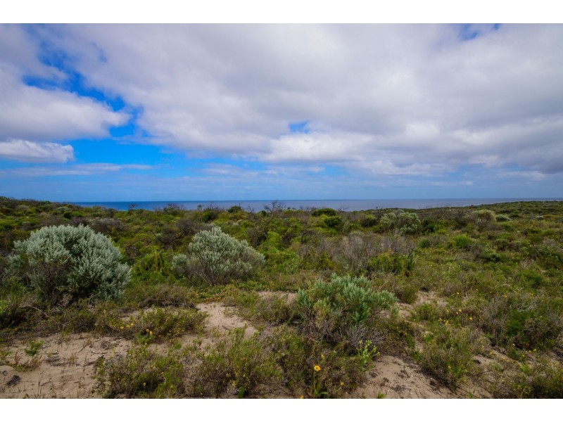 13 African Reef Boulevard, Greenough WA 6532