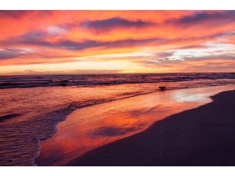 13 African Reef Boulevard, Greenough WA 6532