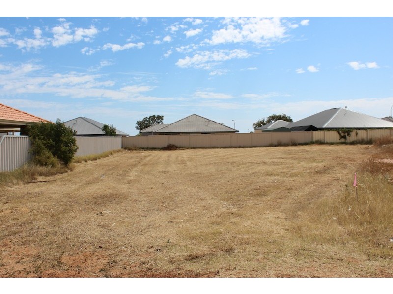 54 Ego Creek Loop, Waggrakine WA 6530