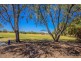54 Ego Creek Loop, Waggrakine WA 6530