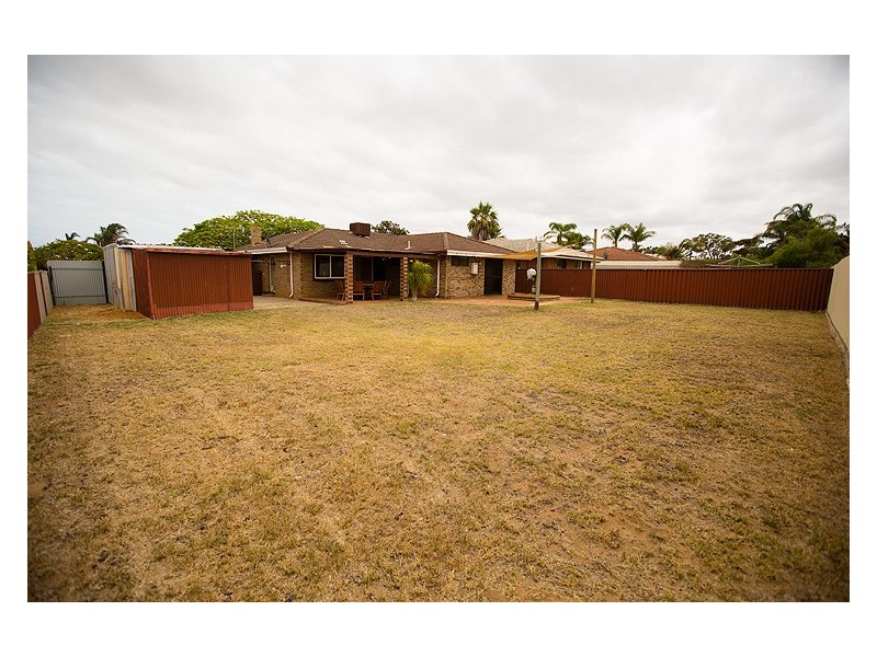 16 Jabiru Way, Waggrakine WA 6530