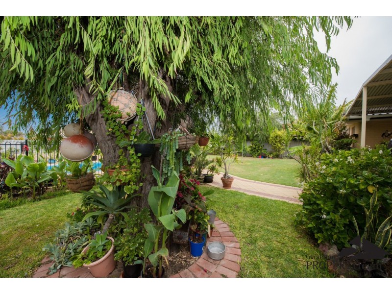 5 Maidstone Street, Mount Tarcoola WA 6530