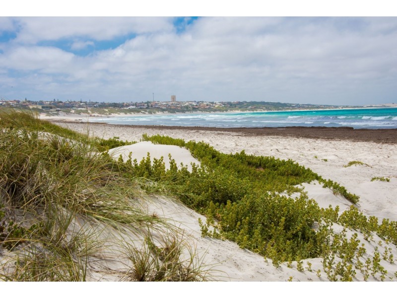 29 Crowther Street, Beachlands WA 6530