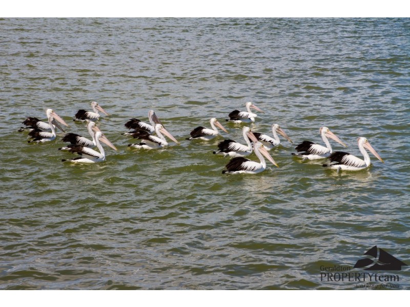 8 Ashdown Loop, Cape Burney WA 6532