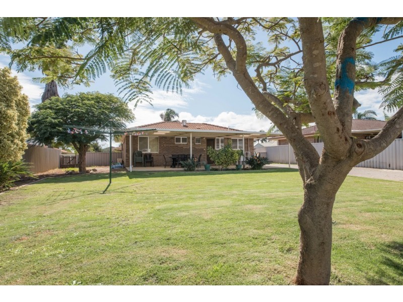 4 Pinyali Way, Waggrakine WA 6530