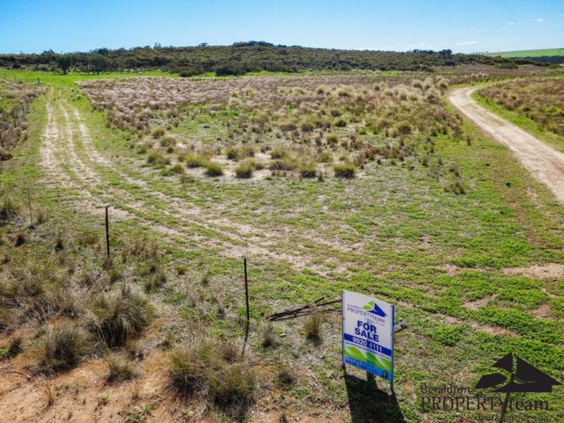 12 Ahern Place, Nabawa WA 6532