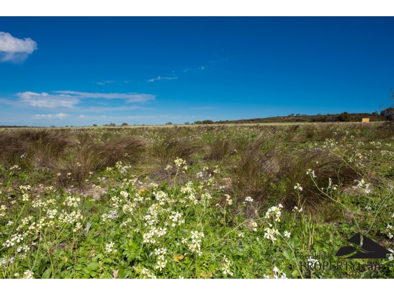 12 Ahern Place, Nabawa WA 6532