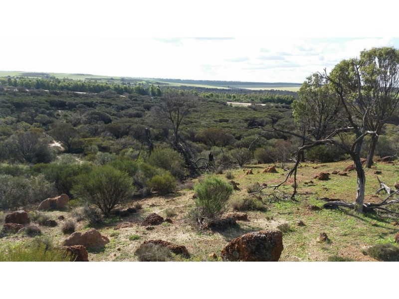 12 Ahern Place, Nabawa WA 6532