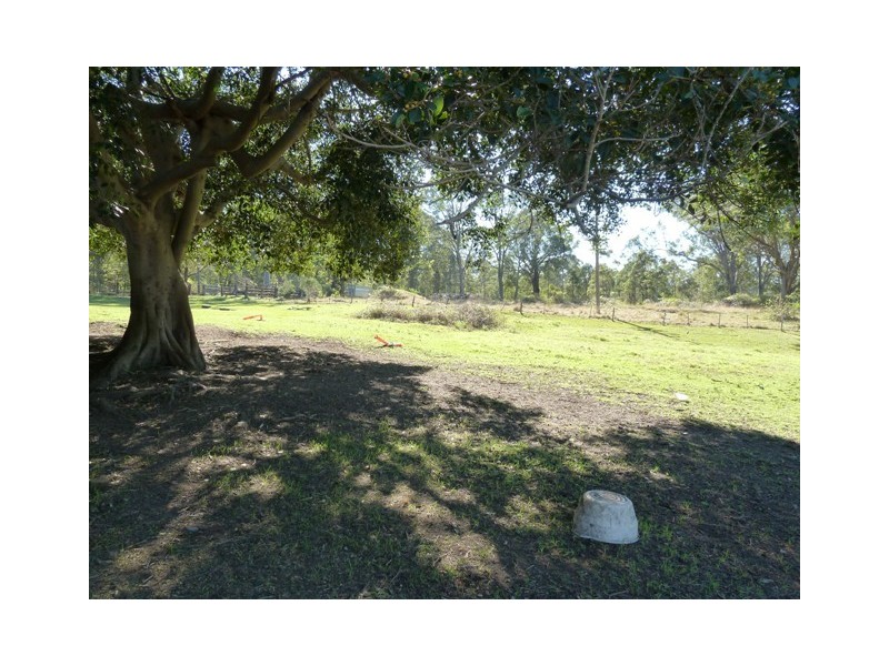 11 Lenaghans Drive, Minmi NSW 2287