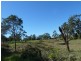 11 Lenaghans Drive, Minmi NSW 2287