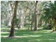 Lemon Tree Passage NSW 2319