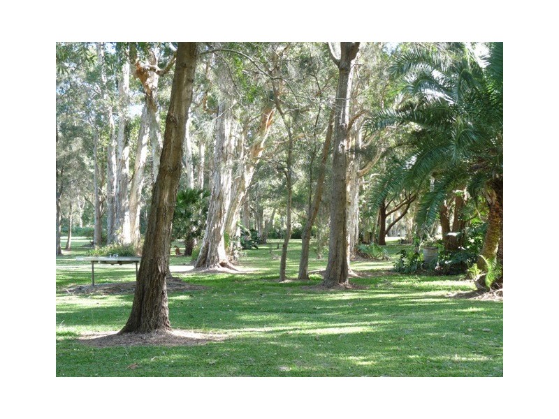 Lemon Tree Passage NSW 2319