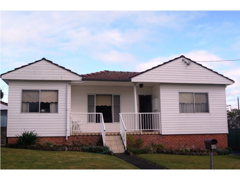 12 Guam St, Shortland NSW 2307