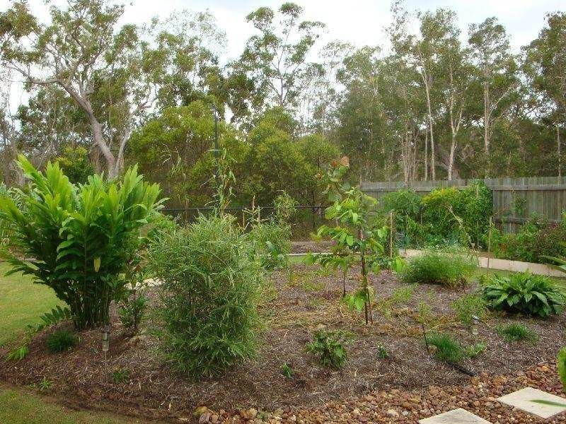 Cooloola Cove QLD 4580