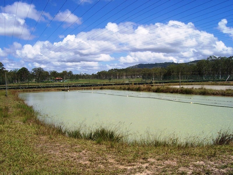 Wolvi QLD 4570